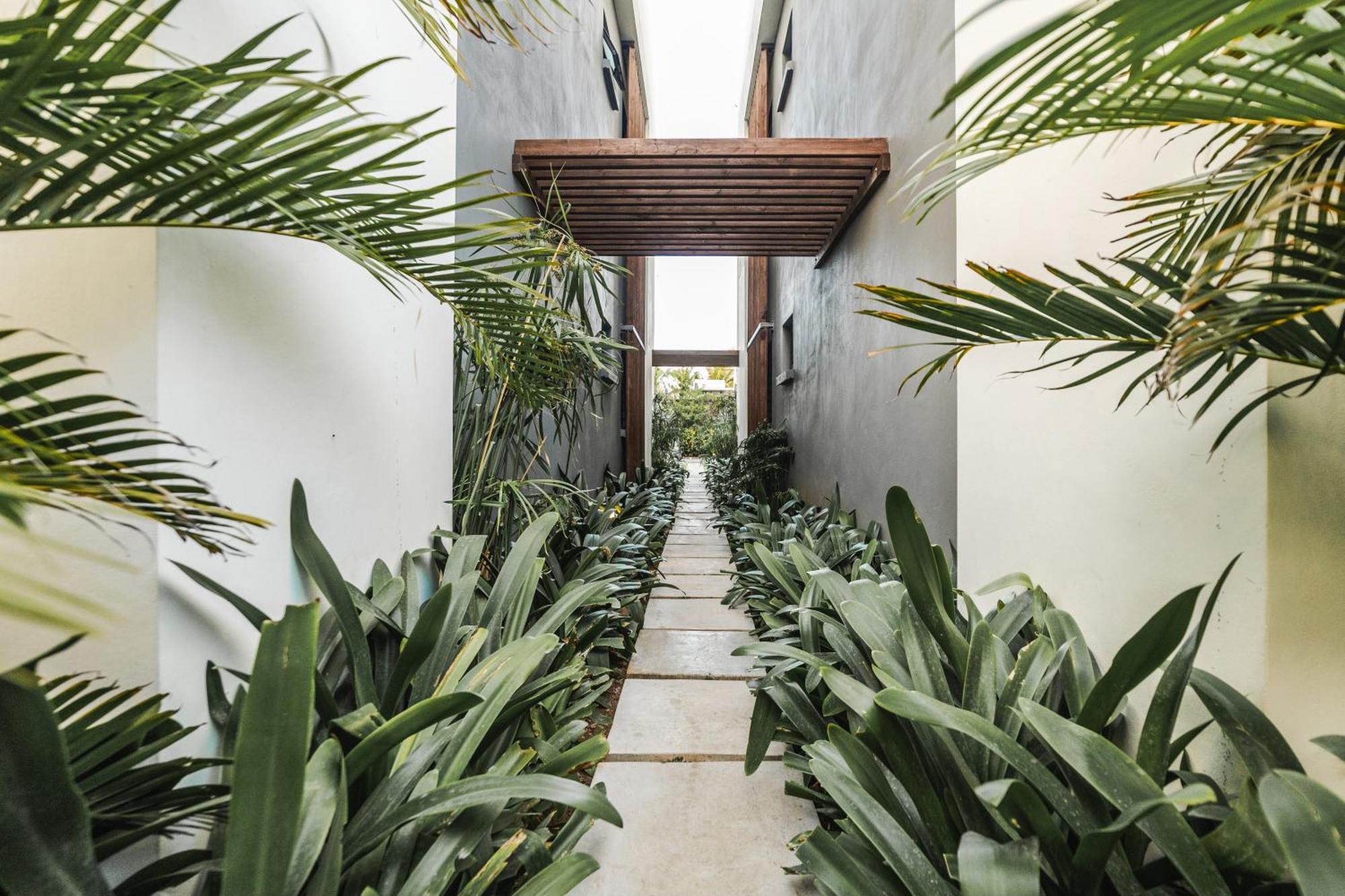 Modern Penthouse - Nautilya Bs1 Appartement Grand Bay Buitenkant foto